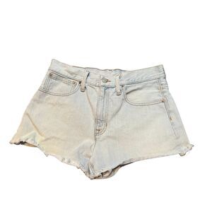 J. Crew Light Blue Relaxed  Shorts Women Size 27